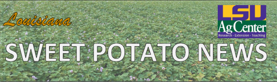 Louisiana Sweet Potato News Summer 2022